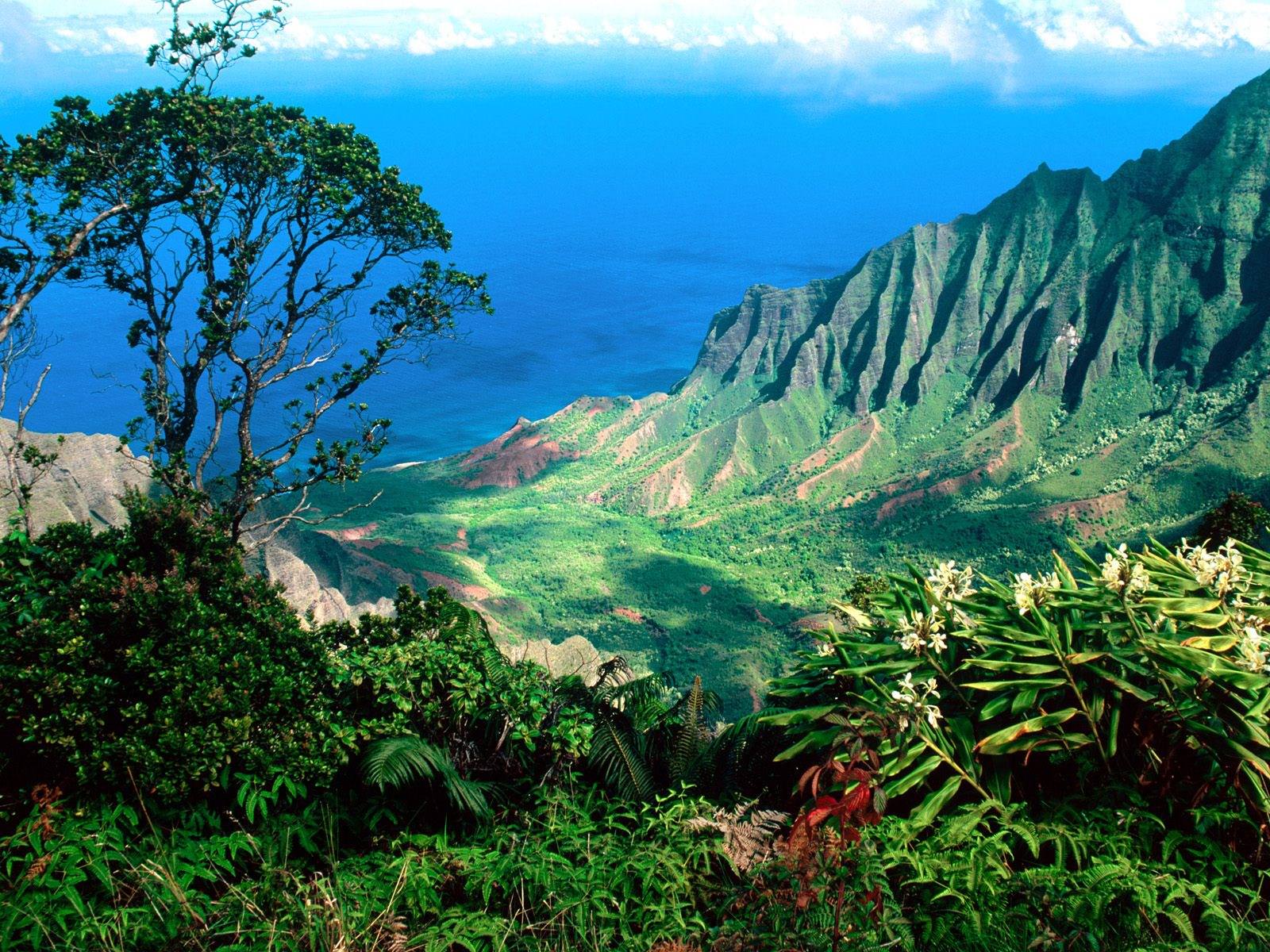 Hawai Kalalau valley