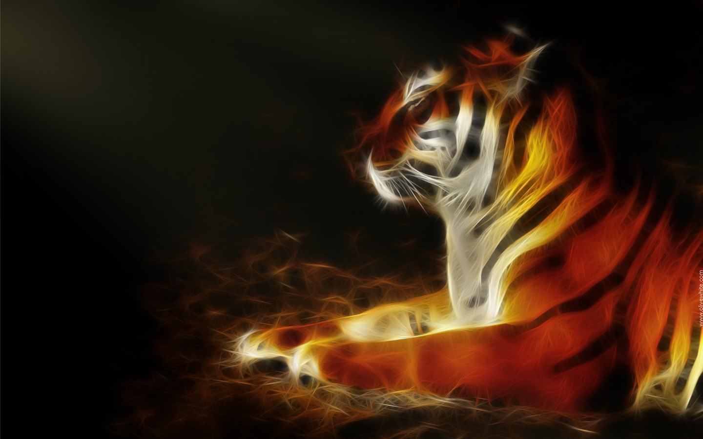 Tigres Tigry le Tigre