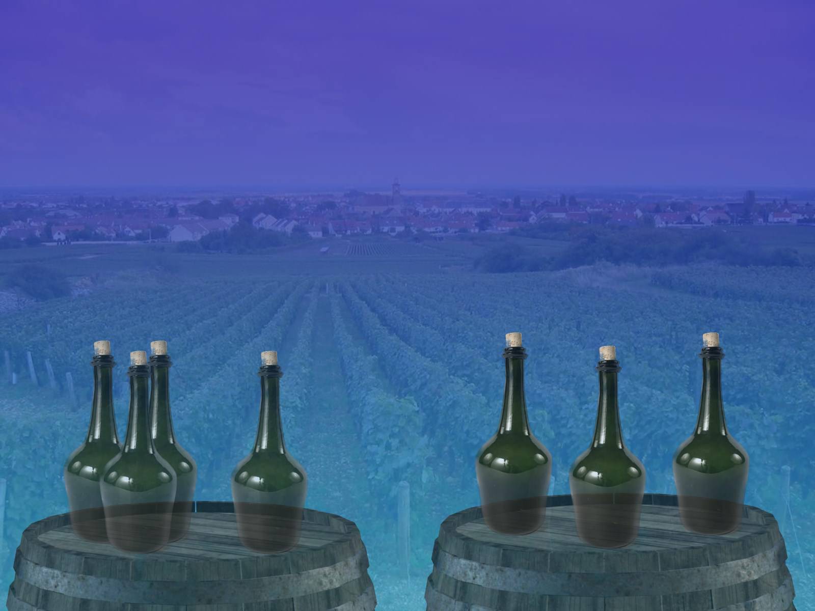 Vignes et Vignobles Bourgogne