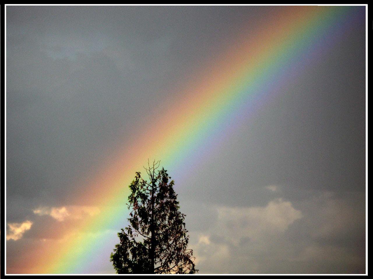 Arcs en ciel Arc-en-ciel