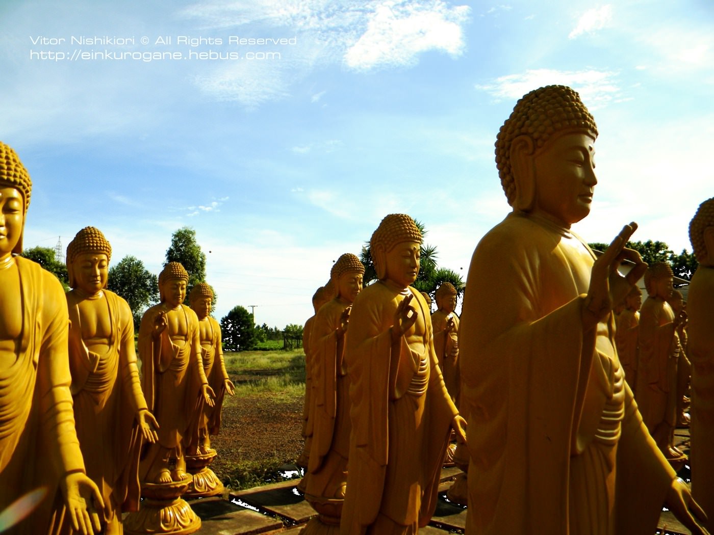 Bresil Buddha Statues