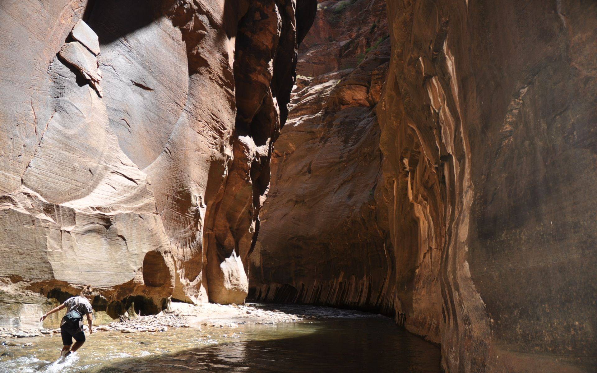 Canyons The Narrows (Zion national Park)