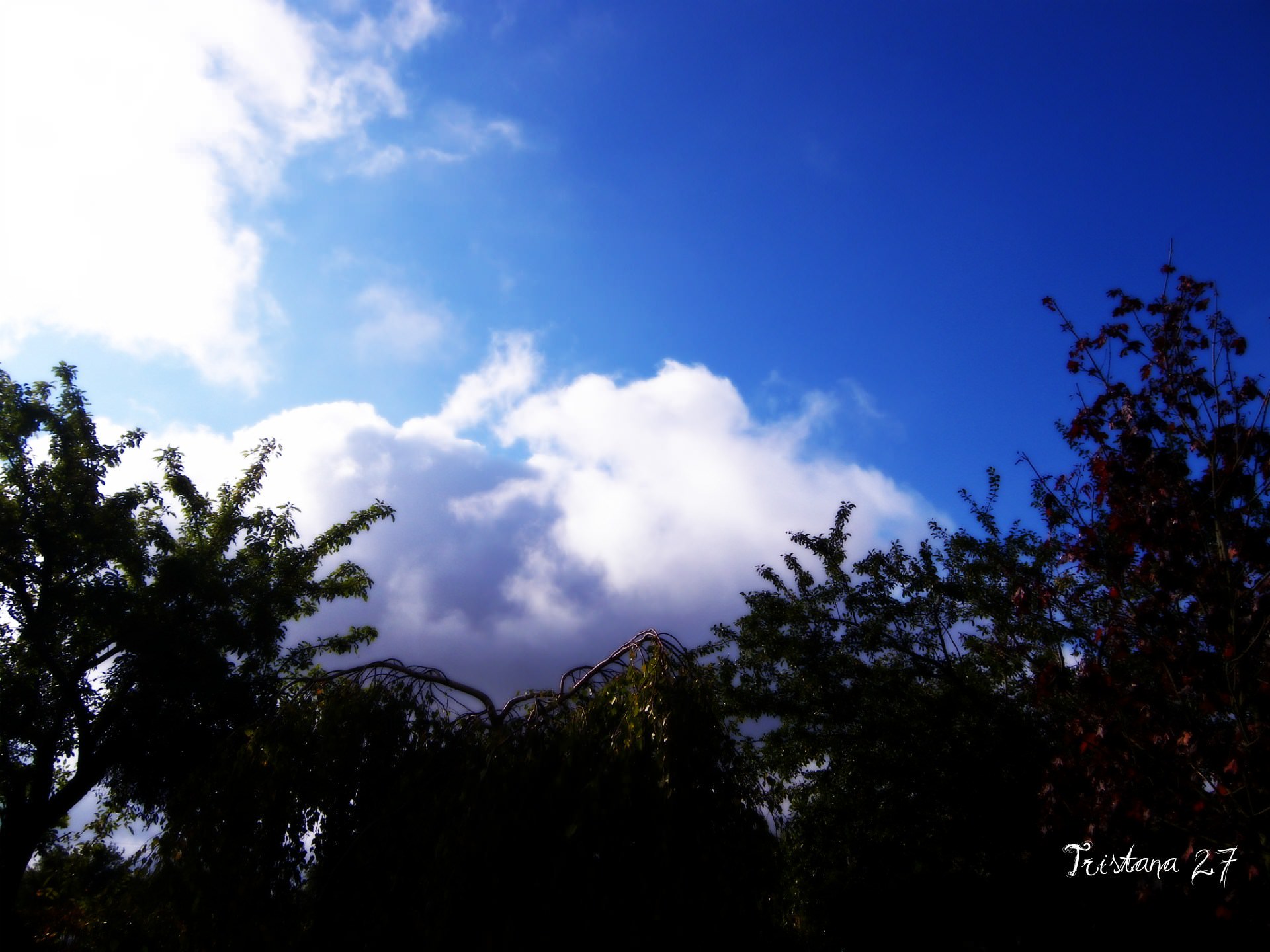 Ciel et Nuages Premiers nuages d'automne...