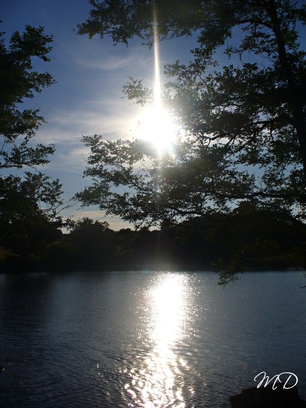Eau et Reflets Crépuscule sur étang