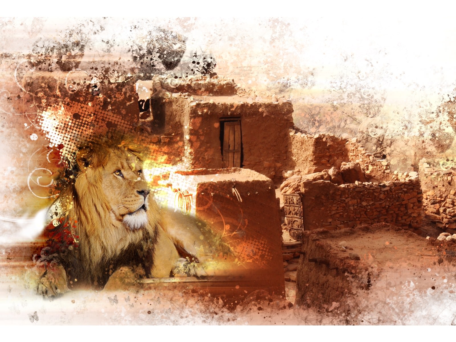 Lions Lion