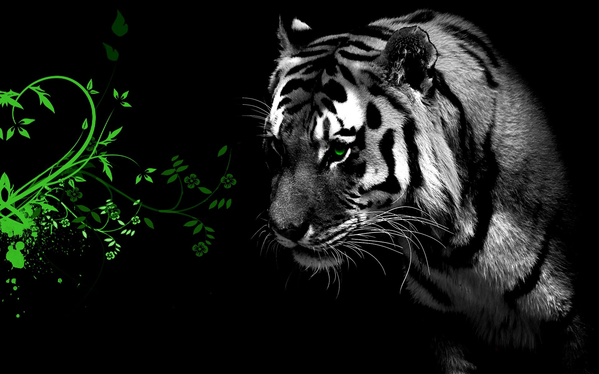 Tigres Green Tiger