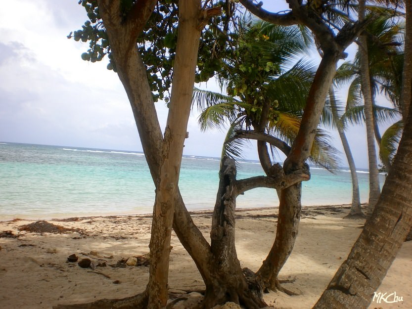 La Guadeloupe Paradis ?