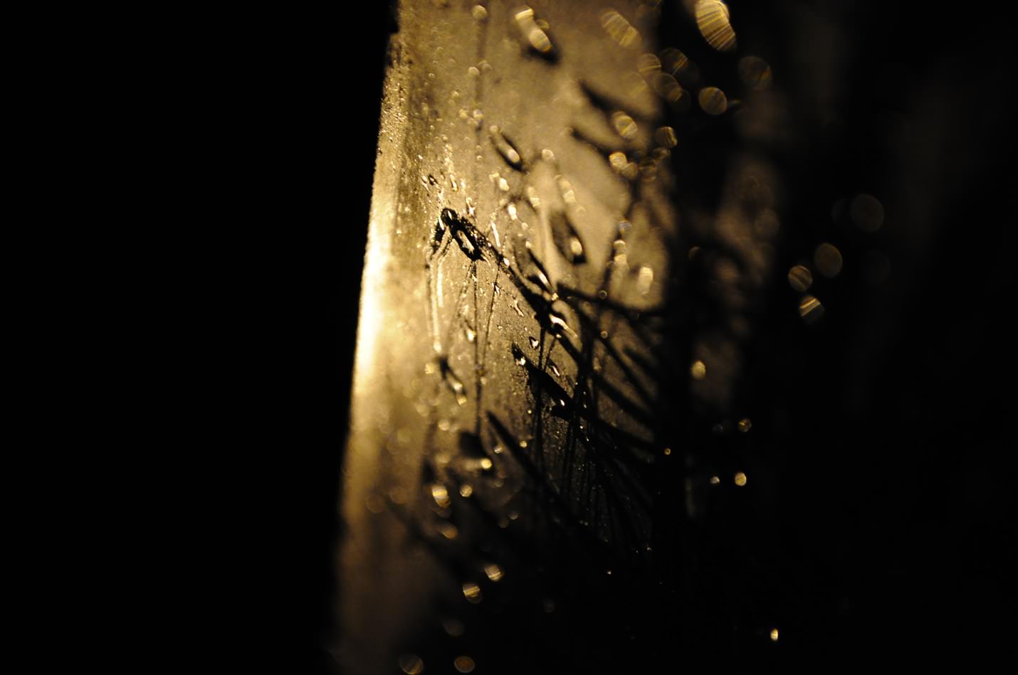 Lumiere Rainy Night