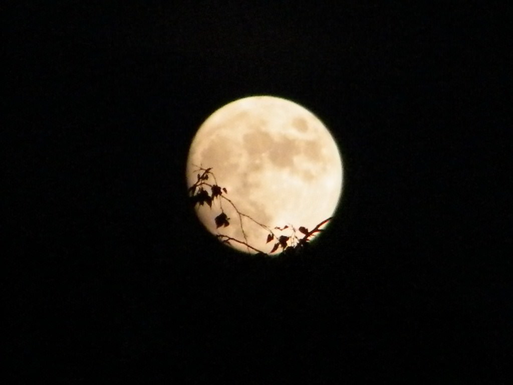 Lune lune
