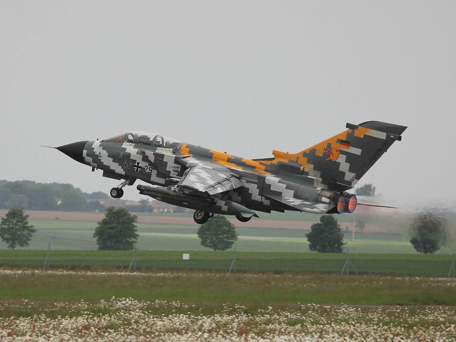 Avions militaires tornado tiger meet 2011