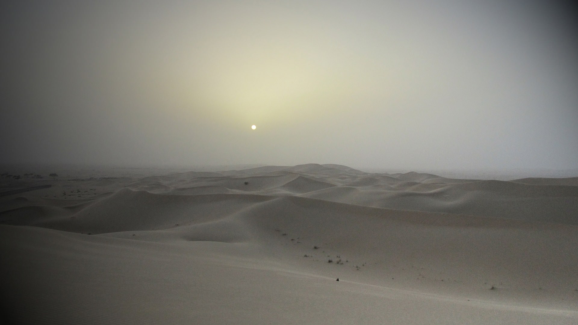 Deserts Desert Al Ain