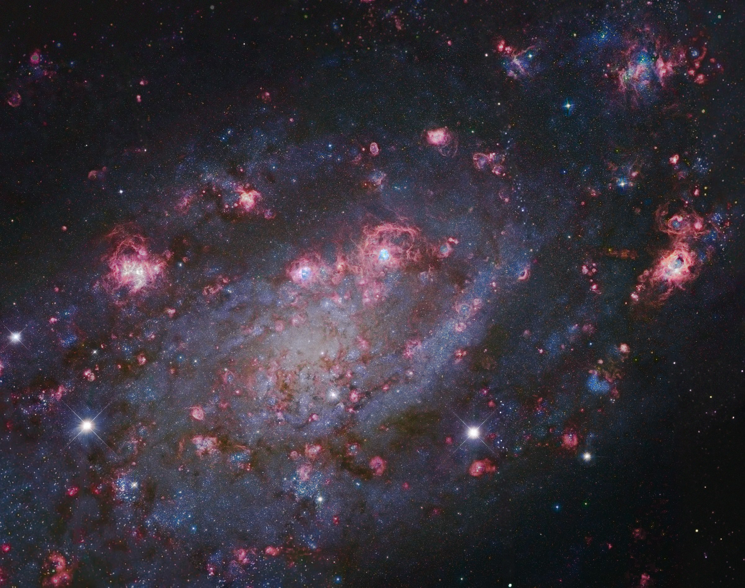 Etoiles et Nebuleuses NGC 2403