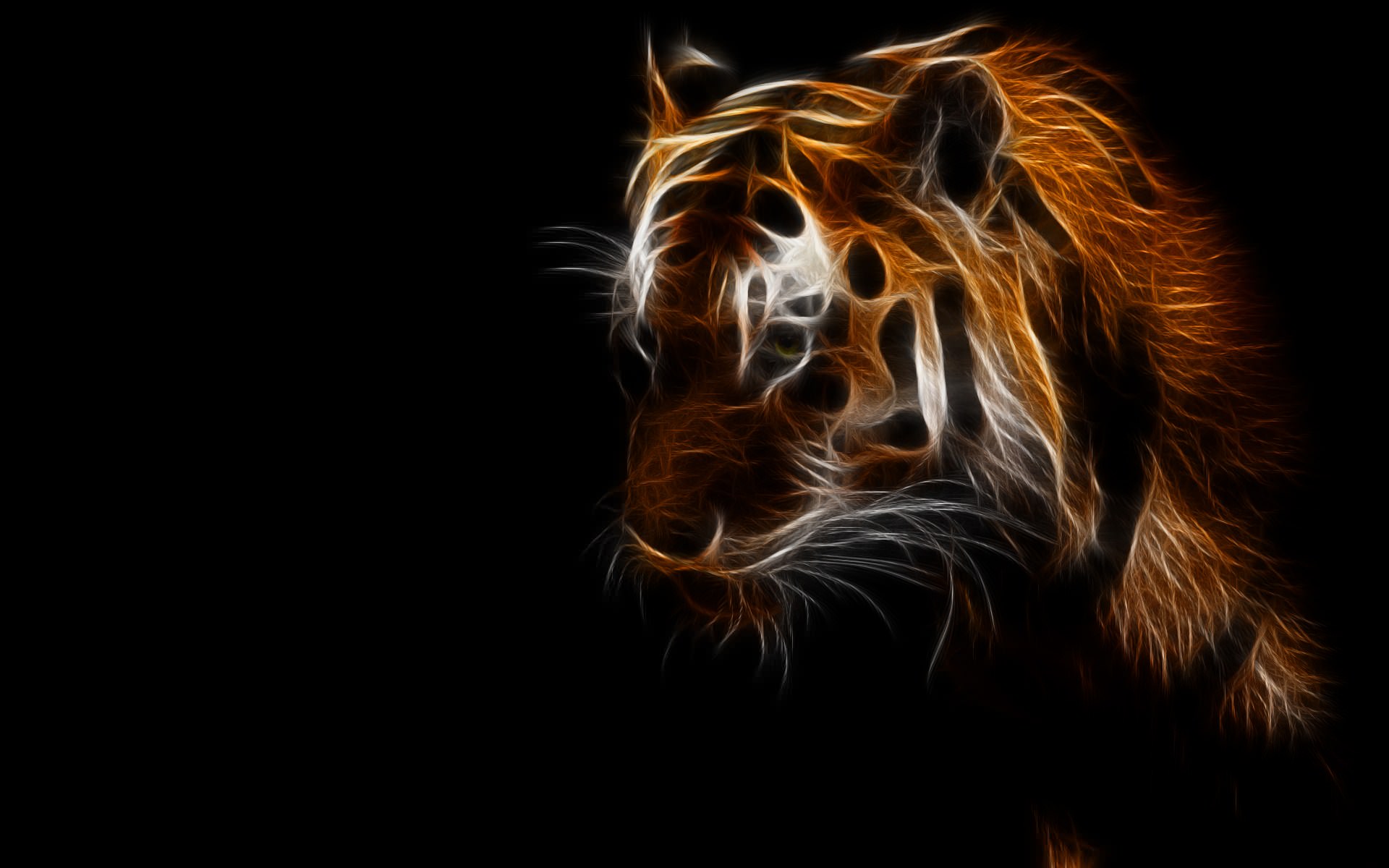Tigres Light tiger