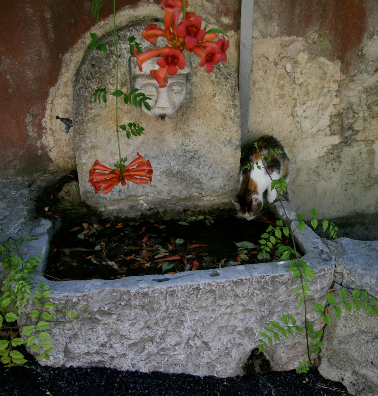 Fontaines et Jets d eau Auprès de ma fontaine ....