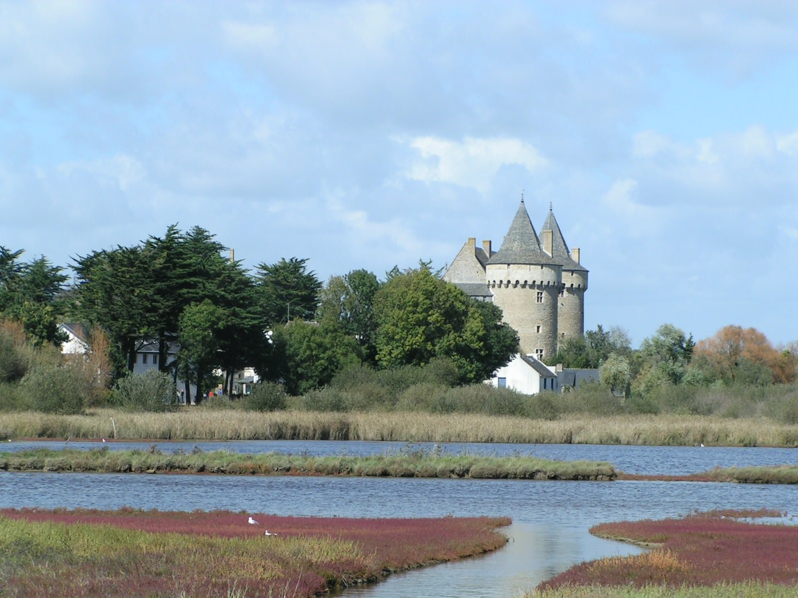 France Bretagne marais et chateau de SUSCINO