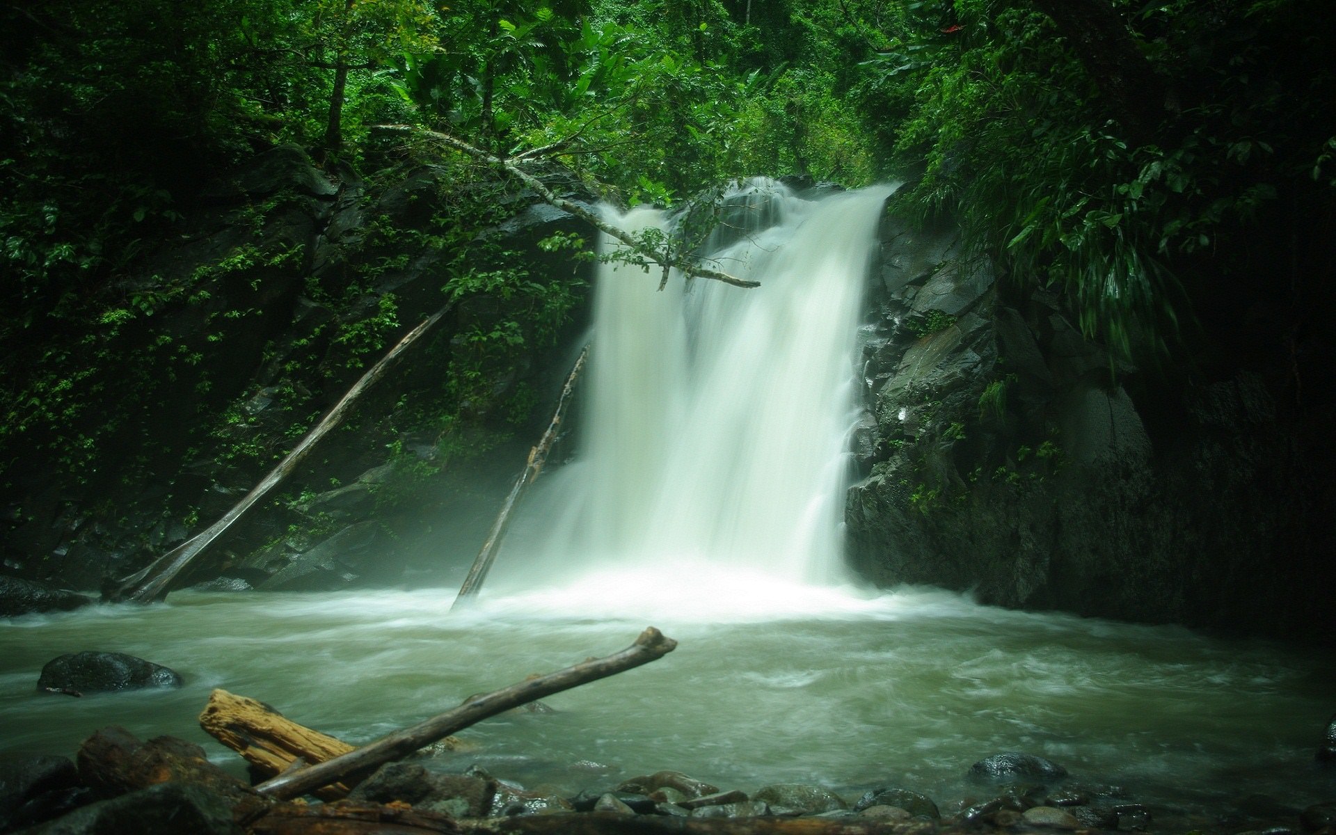 La Martinique cascade Didier - Martinique