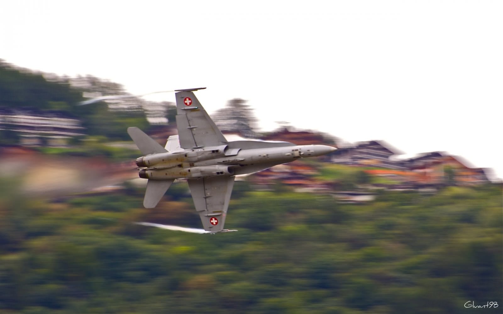 Meetings aeriens F/A 18 Hornet