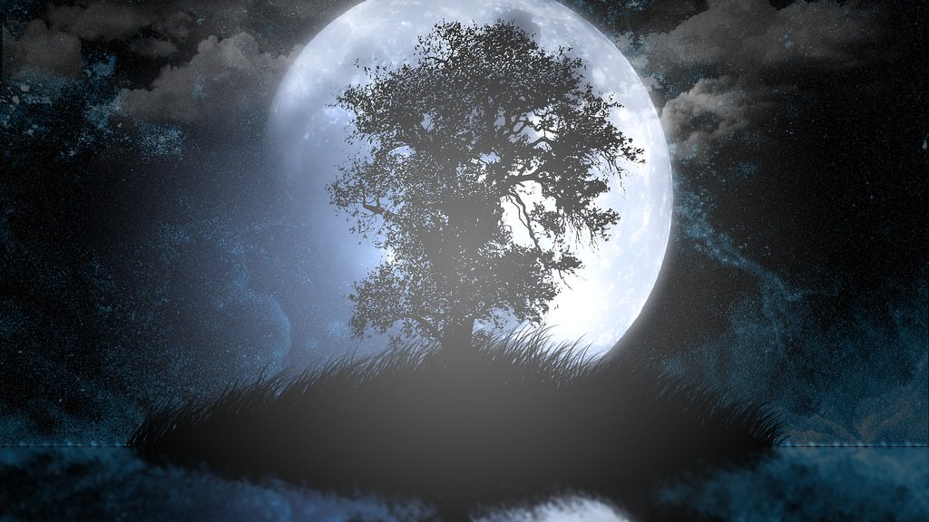 Divers la lune derrière l'arbre