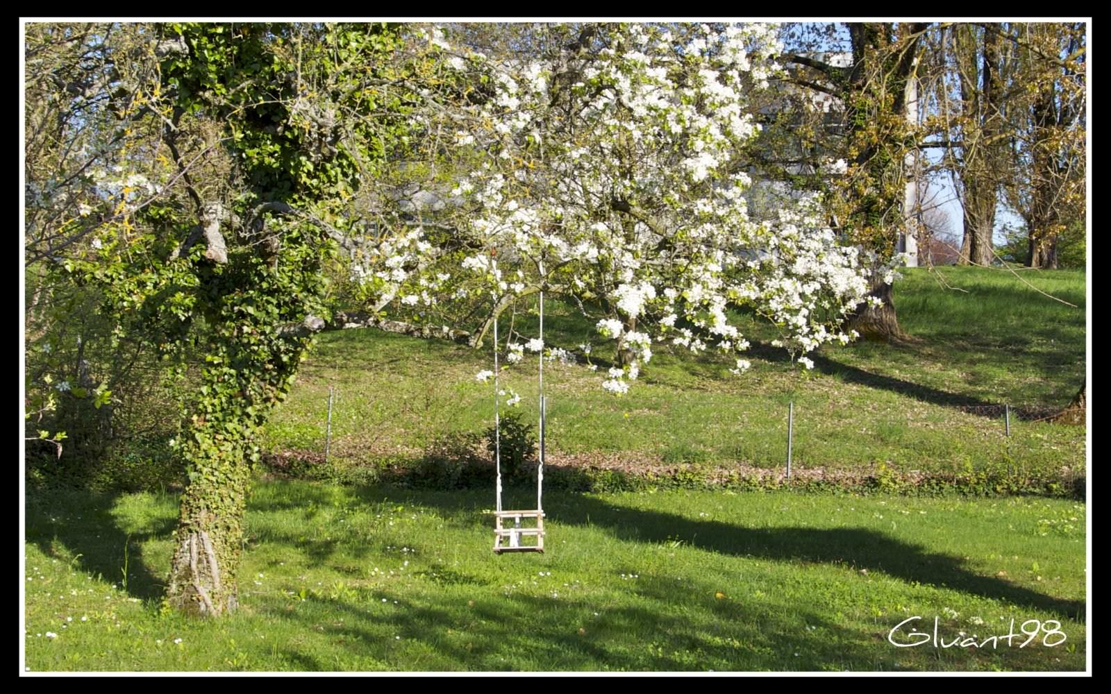 Parcs et Jardins Cerisier en fleur