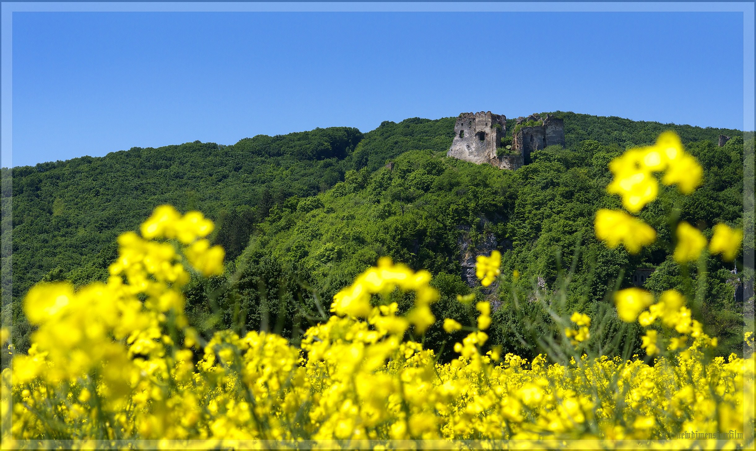 Ruines et Vestiges Château de printemps.1.