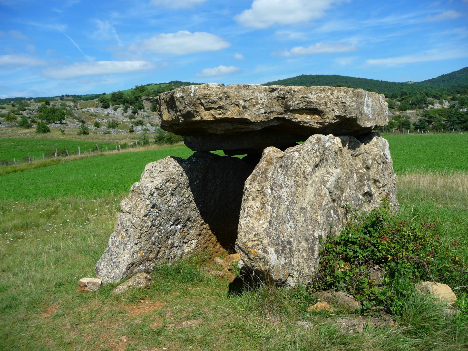 Ruines et Vestiges Dolmen de Buzeins dans l'Aveyron