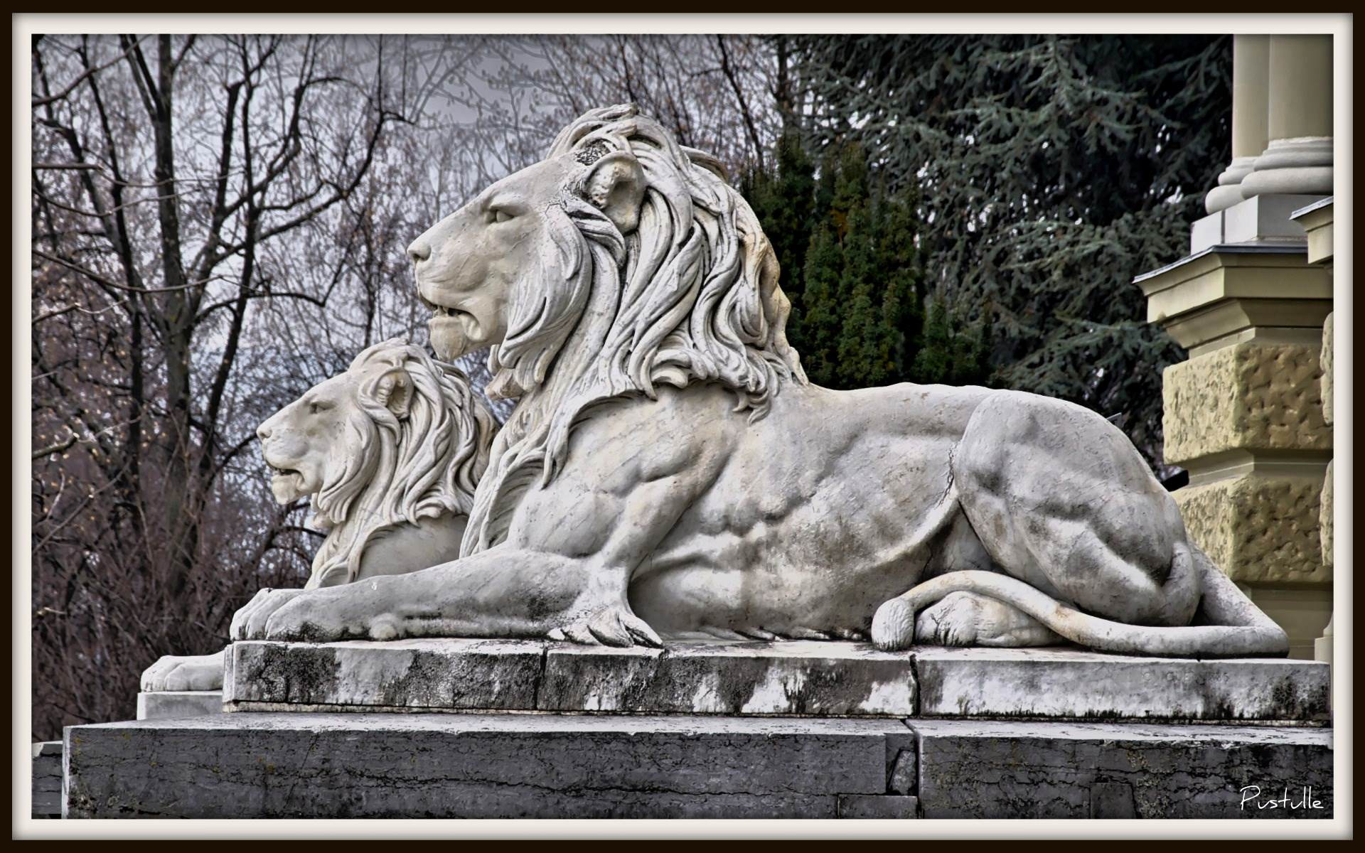 Statues et Monuments Lions 