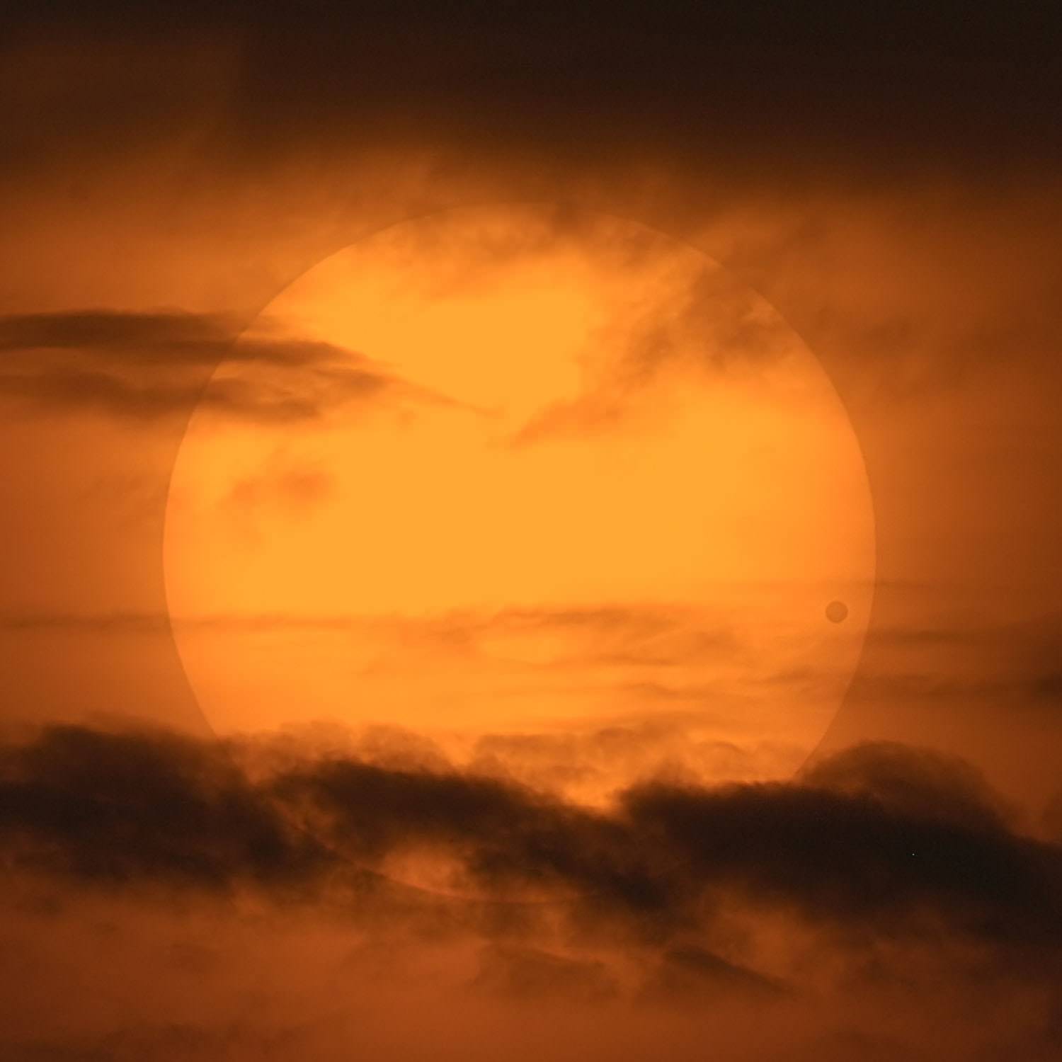 Venus Vénus devant le soleil