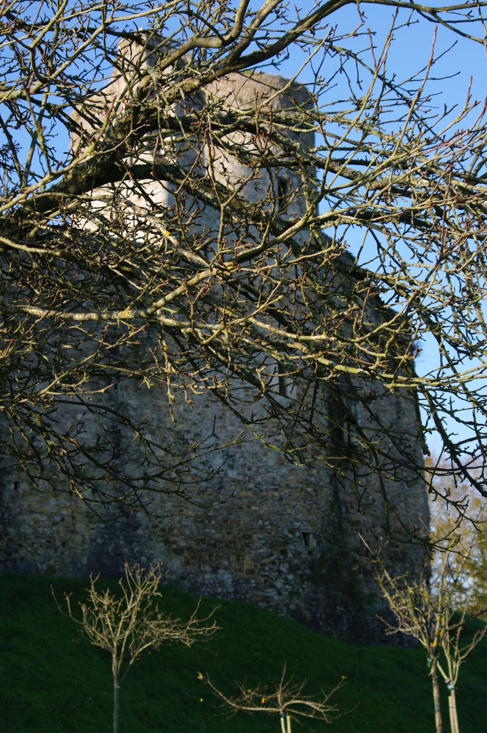 Chateaux et Palais Chateau