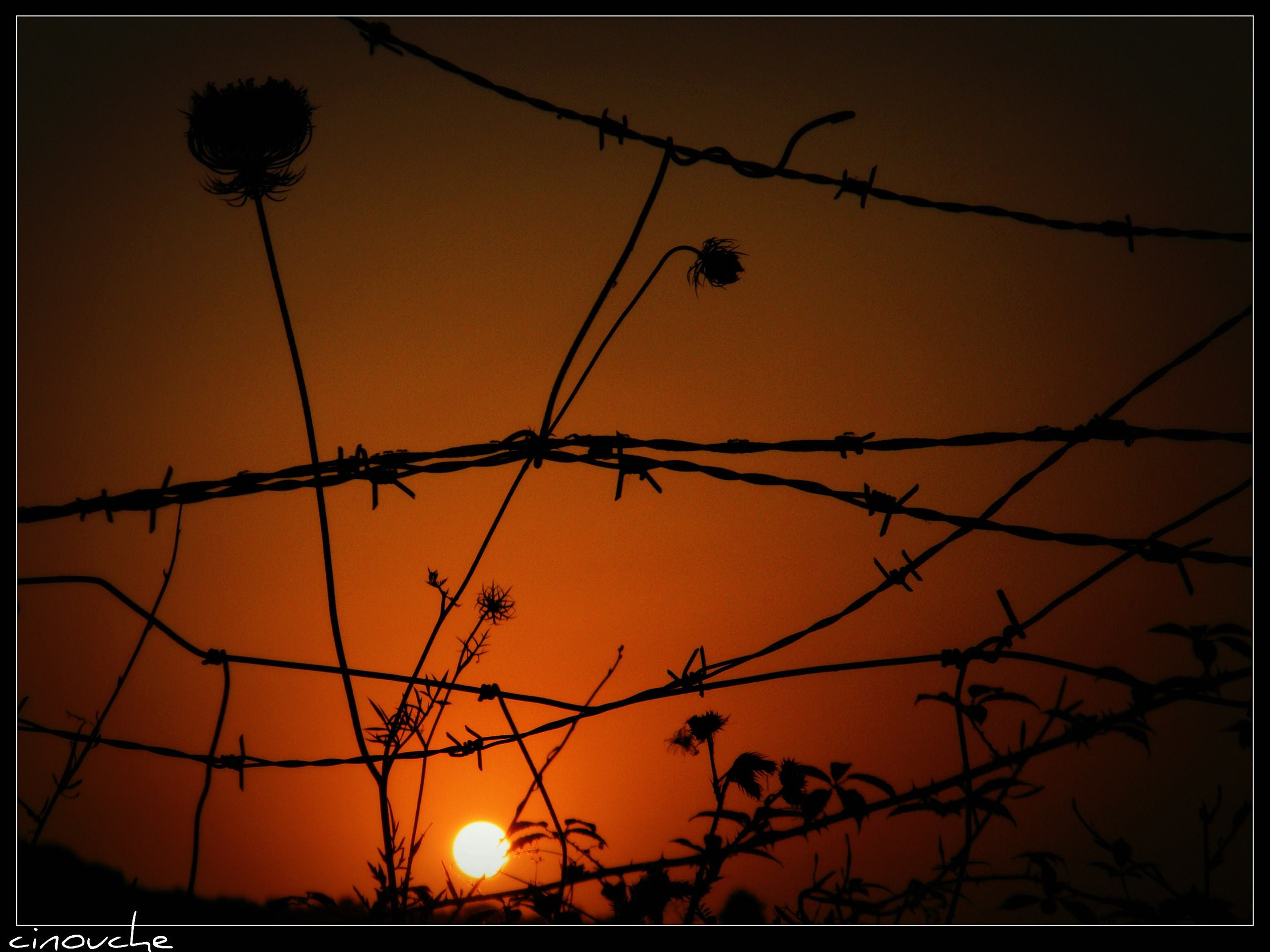 Couchers et levers de Soleil sunlight