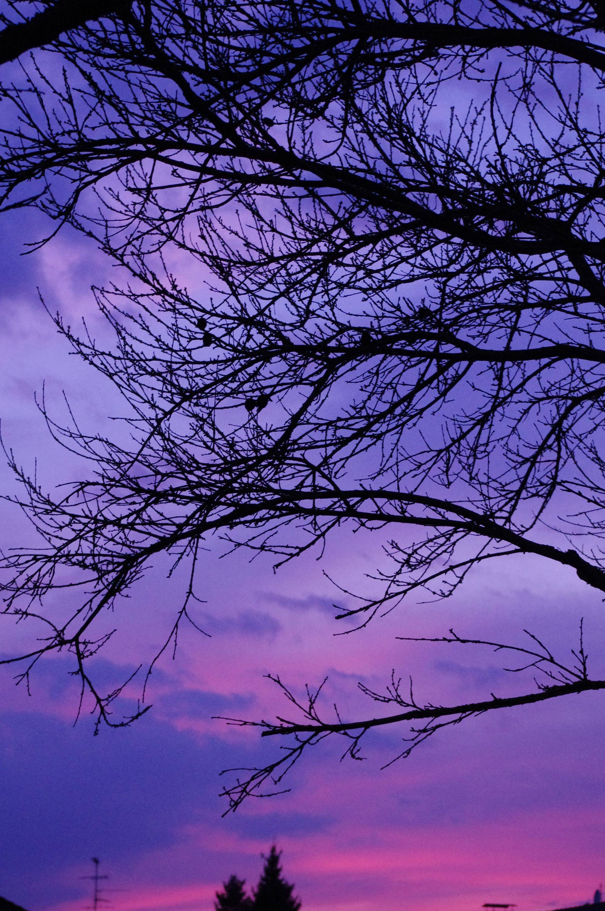 Couchers et levers de Soleil Ciel romantique