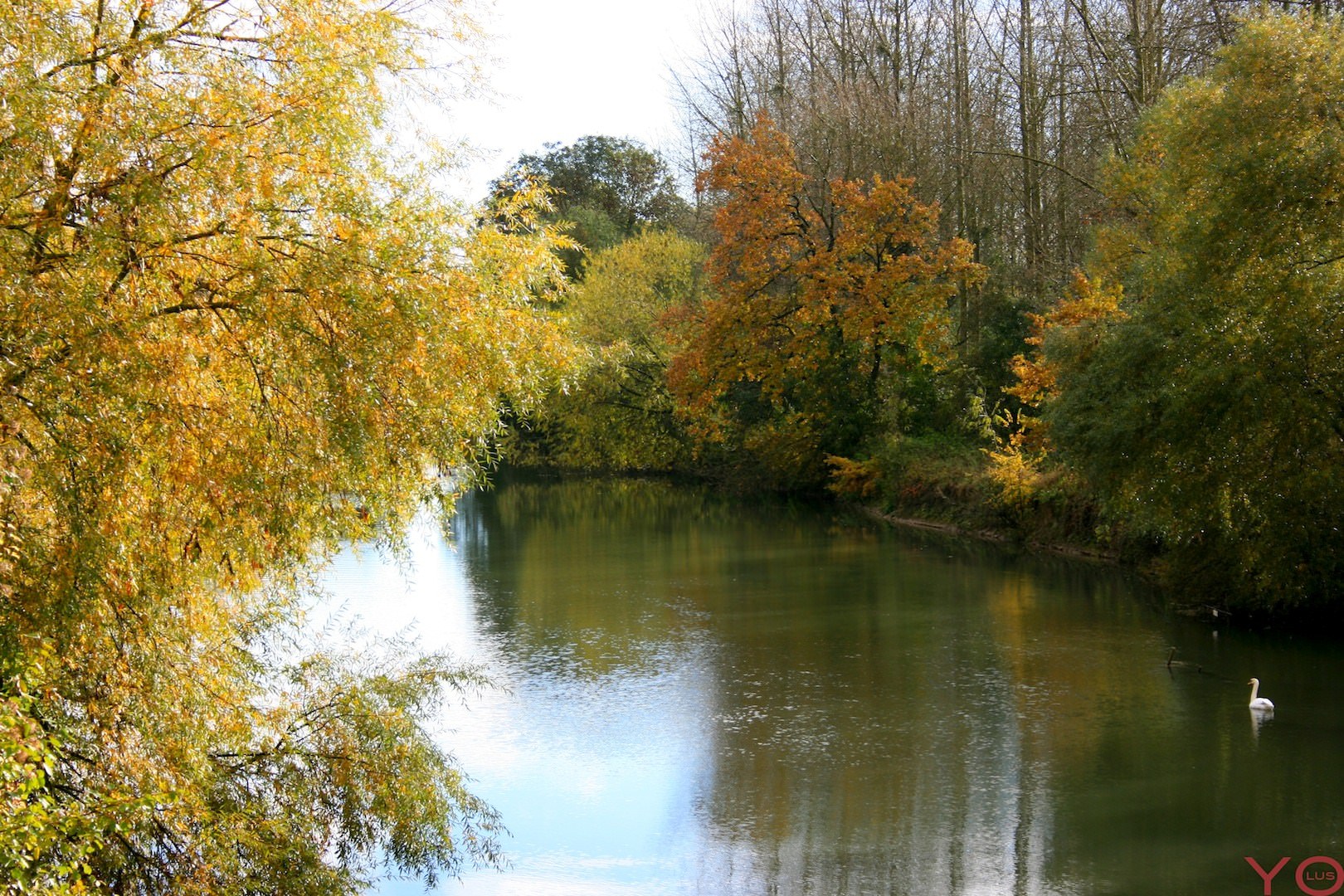 Fleuves et Rivieres Rivière en automne