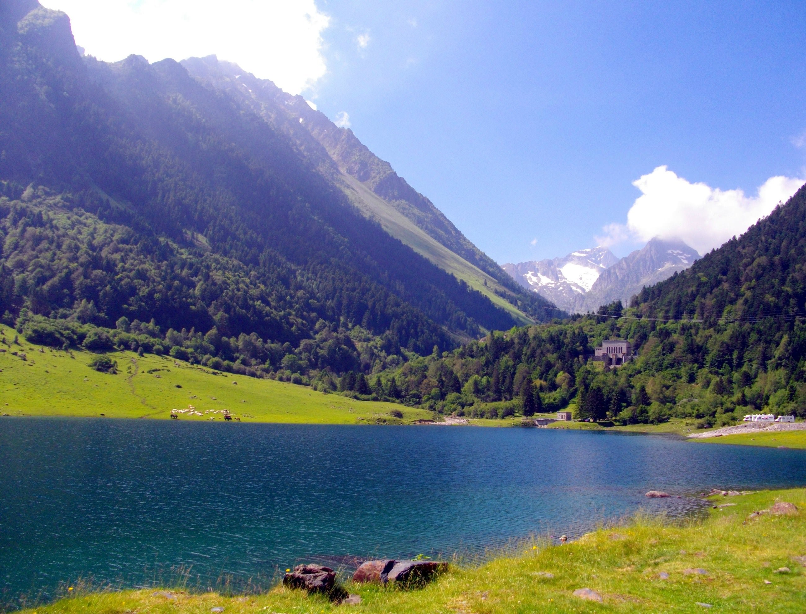 Lacs et Etangs lac du tech (hautes pyrénées)