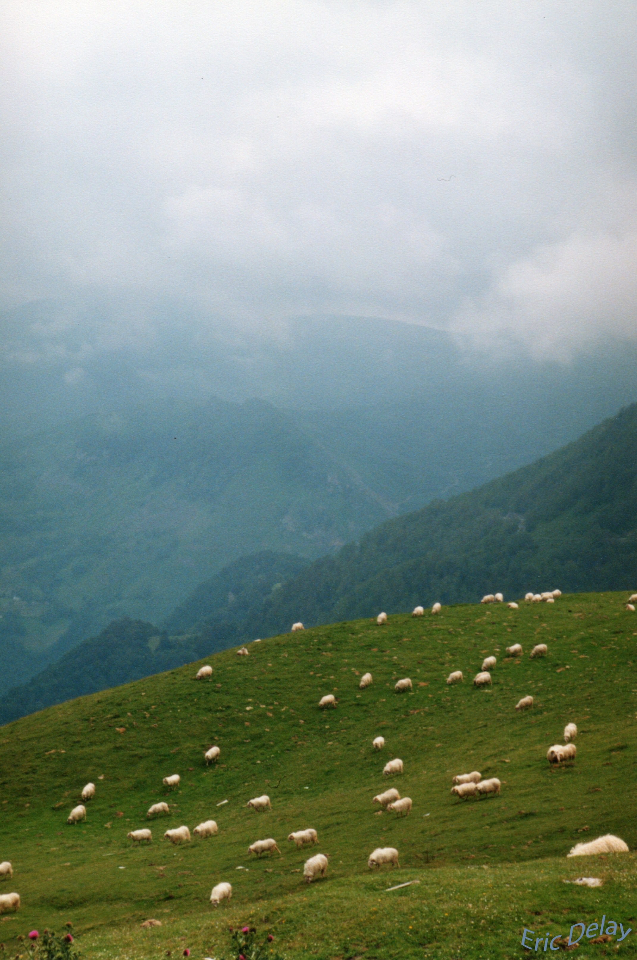 Montagnes Moutons