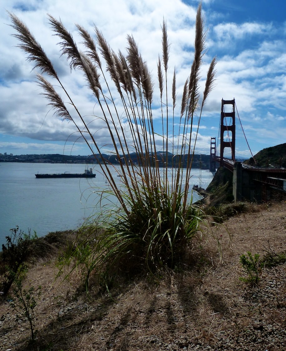 Ponts et Aqueducs Golden Gate SF
