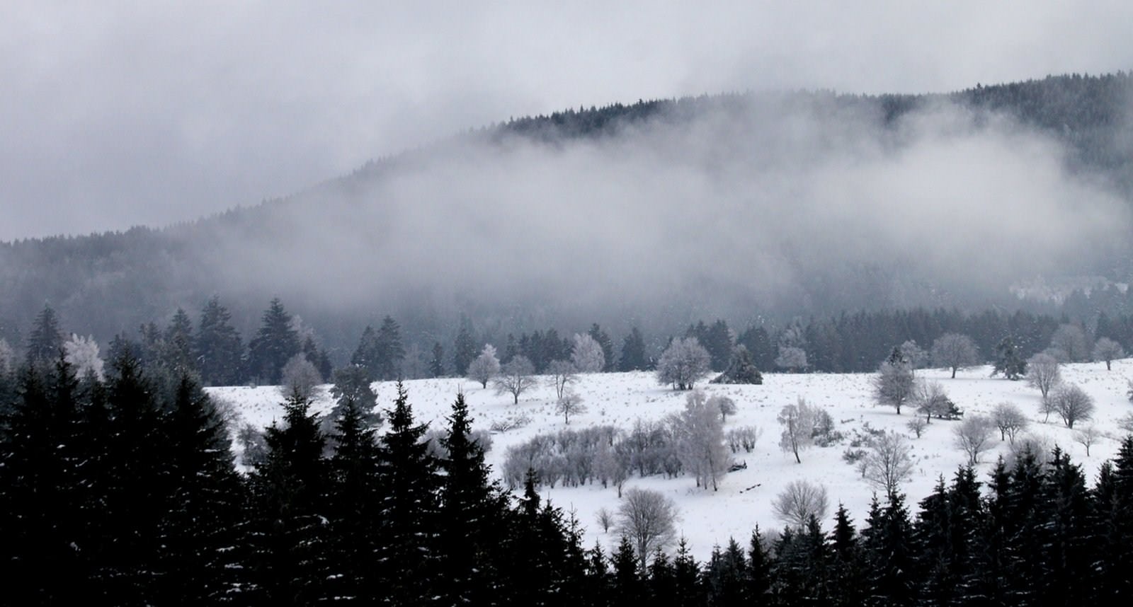 Saison hivernale Les hauteurs de Bourg-Bruche (1)