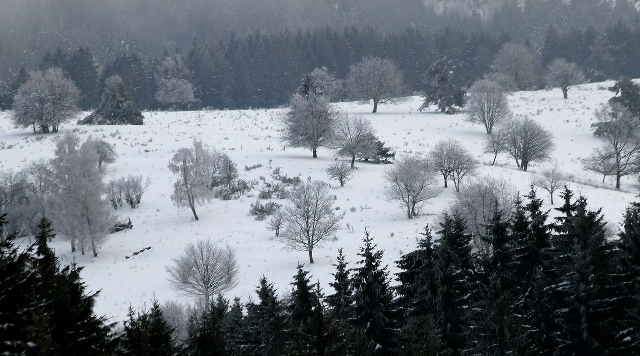 Saison hivernale Les hauteurs de Bourg-Bruche (2)