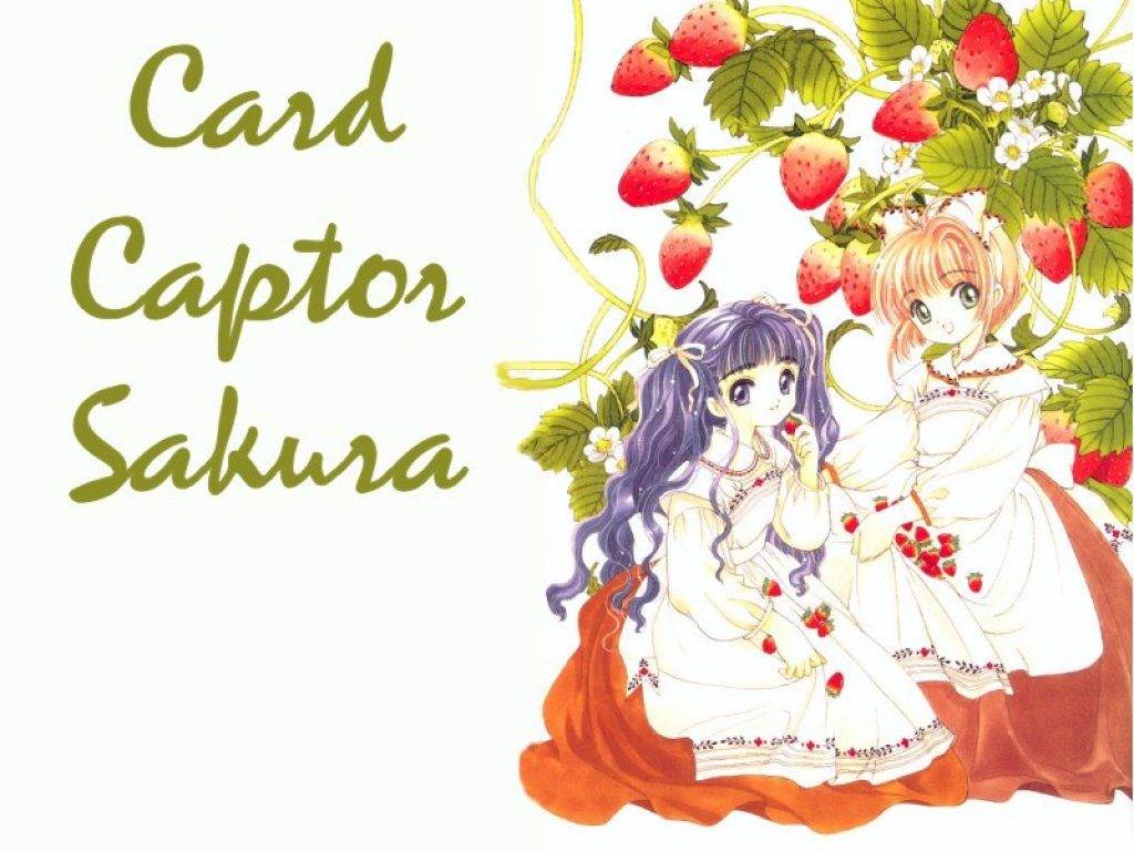 Card Captor Sakura Wallpaper N°48653