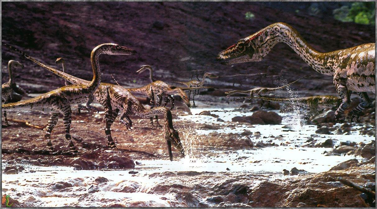 Dinosaures Wallpaper N°38758