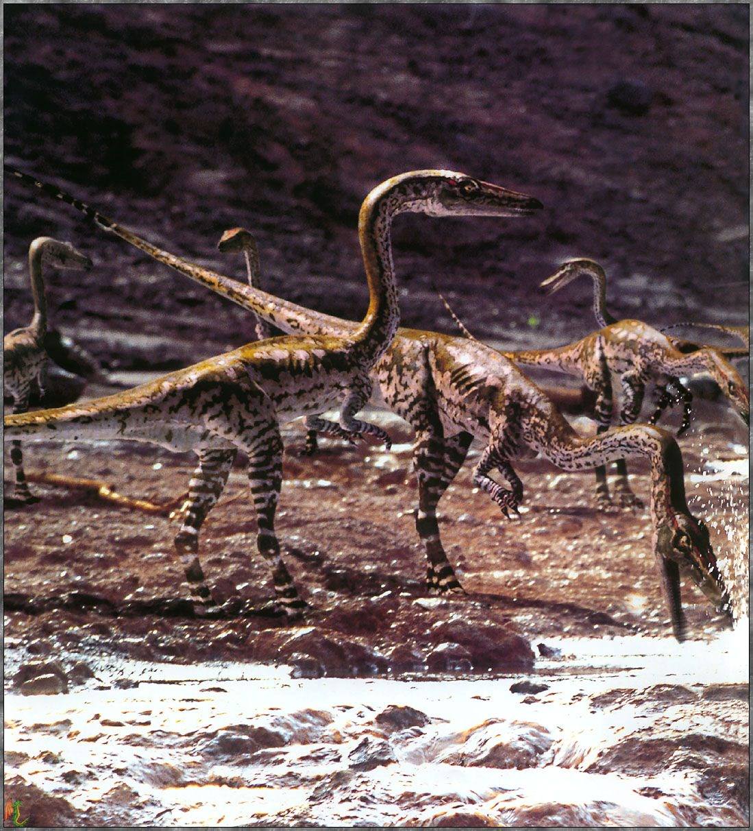 Dinosaures Wallpaper N°38759