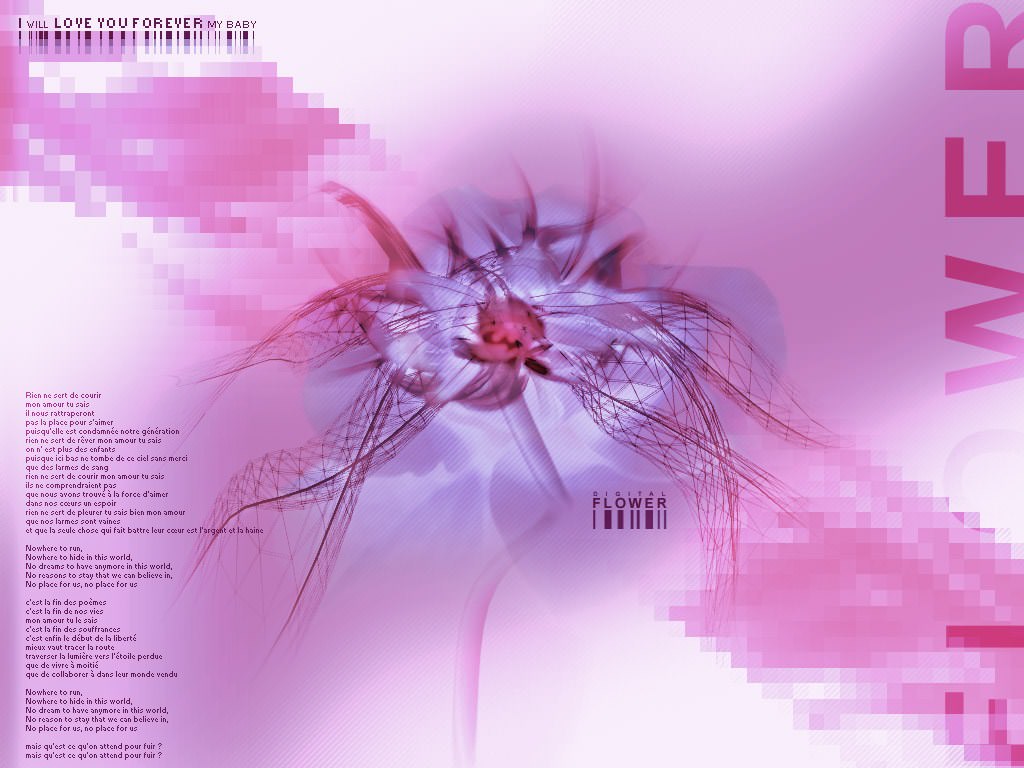 Abstrait :: Flower Of love ::