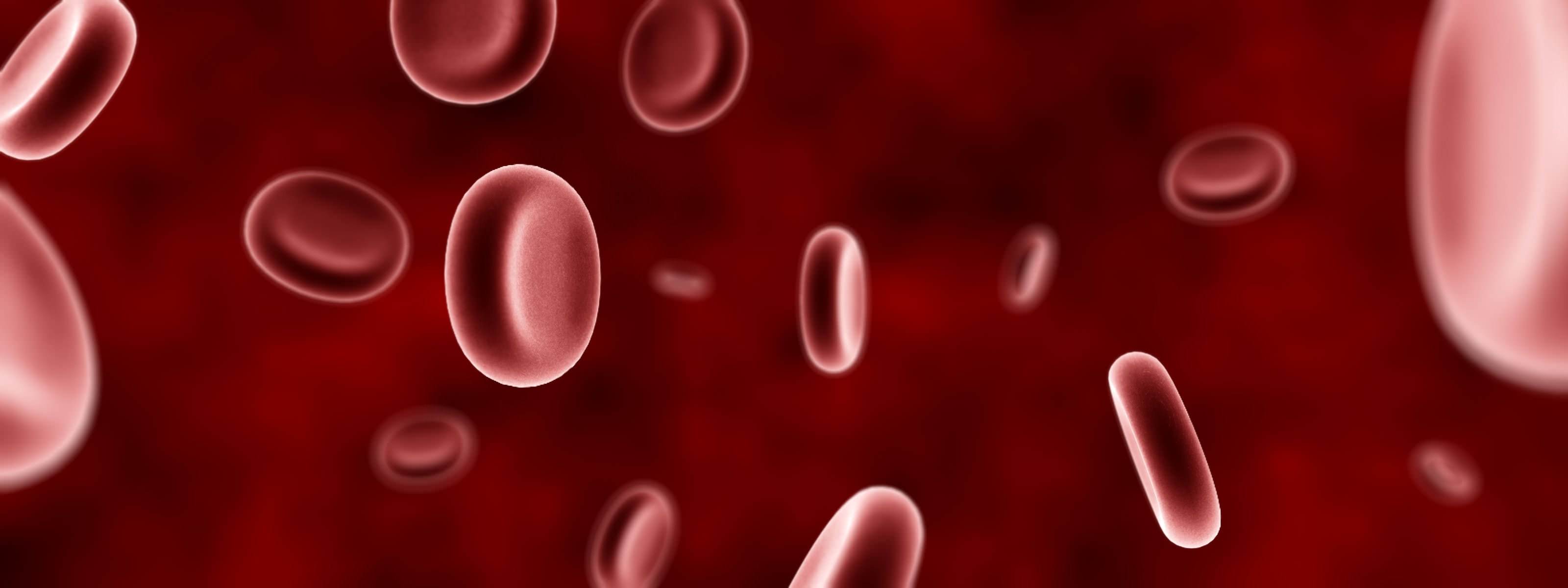 Art Digital Dual Blood Cells