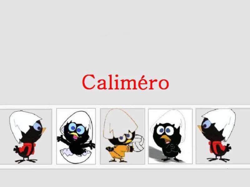 Calimero Caliméro