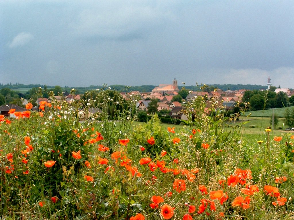 France Alsace Griesheim sur Souffel