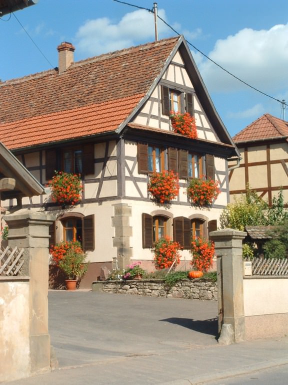 France Alsace Rohr