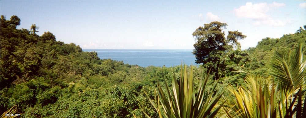 La Guadeloupe Panorama mer/vegetation