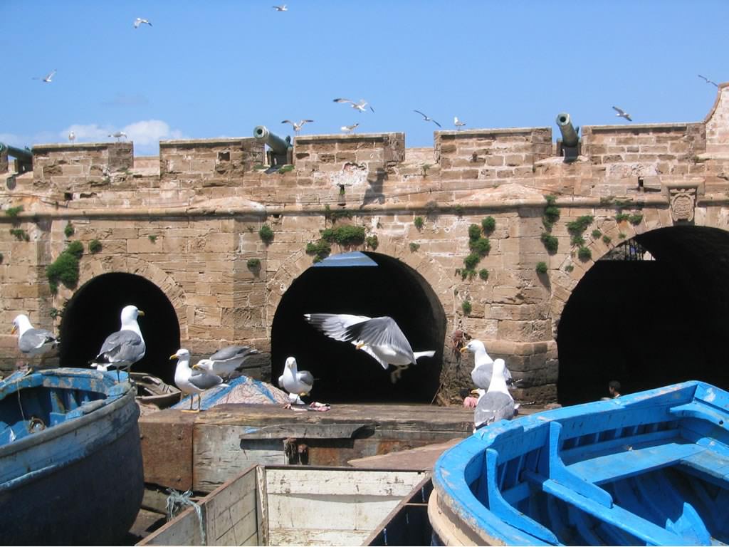 Maroc Le Port d'Essaouira