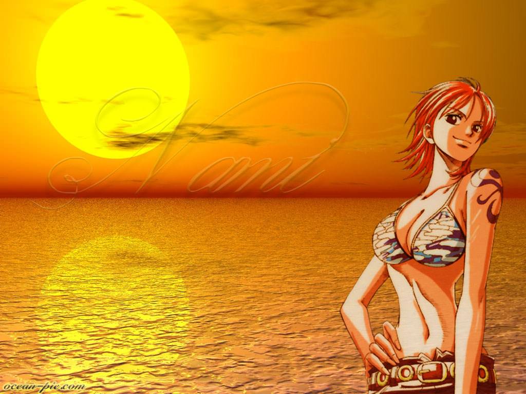 One Piece Nami Sunset