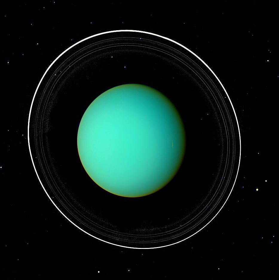 Uranus uranus
