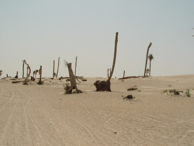 Deserts Sahara