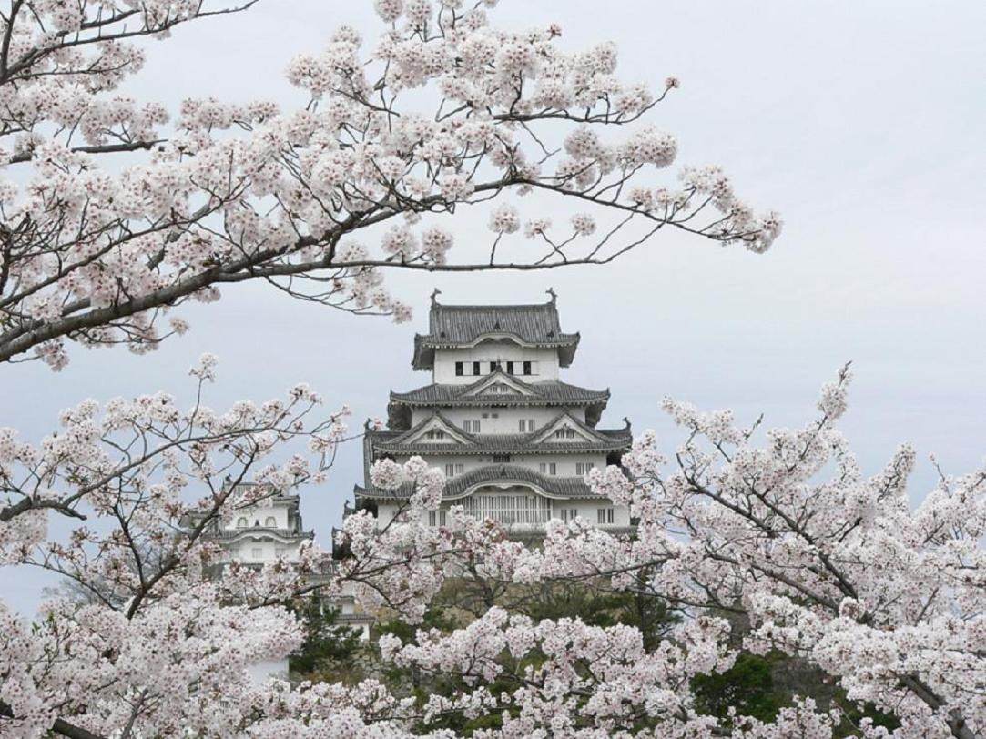 Japon Chateau d'Himeji